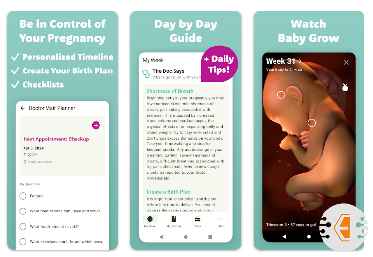 برنامج متابعة الحمل Sprout Pregnancy