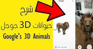 حيوانات 3D جوجل